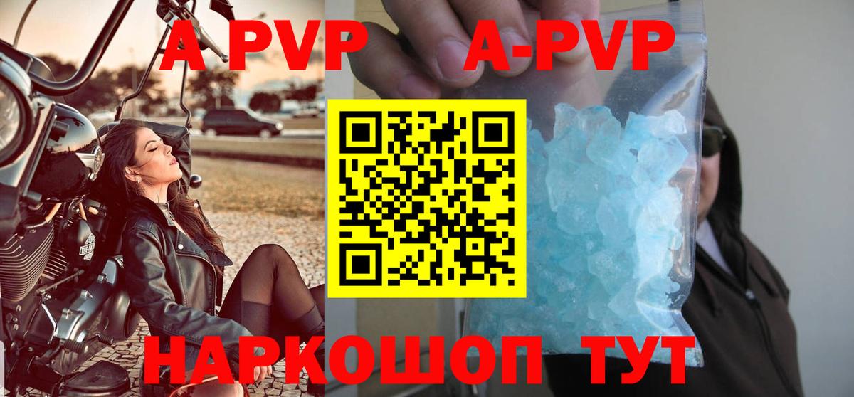 Альфа ПВП СК КРИС Аргун