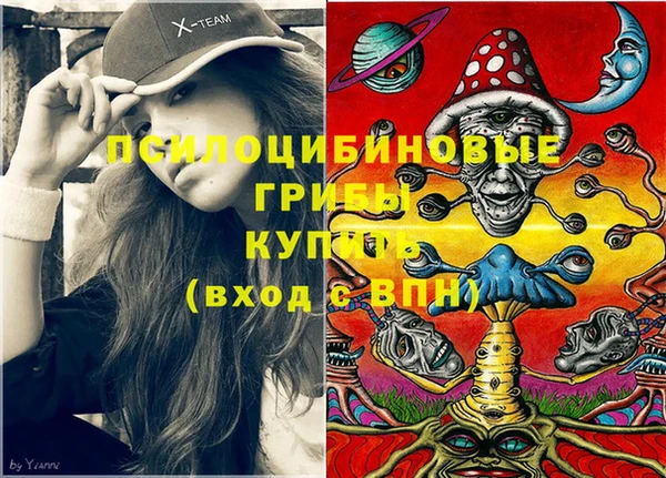 гидра Сатка