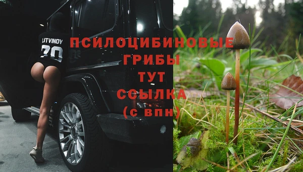 герыч Алексеевка