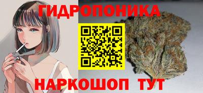 тгк Тара