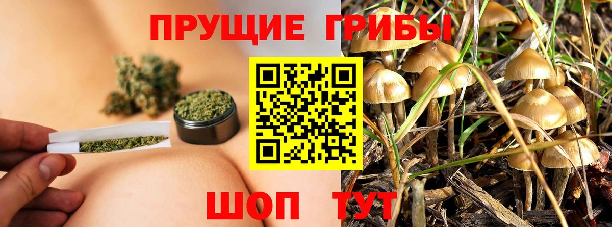 Аргун  Псилоцибиновые грибы мухоморы  Вход с VPN  Псилоцибиновые грибы мицелий 